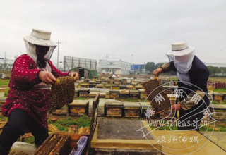 ��ů�����ŷ�æ