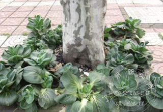 �ֲˣ�ռ�Ķ����ǵط�