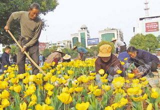 �㳡���������� �������鴺��Ũ