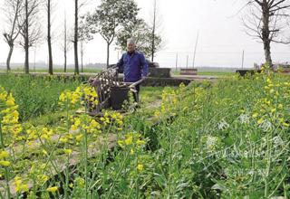 ���Ͳˡ����͡�