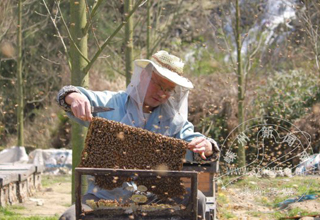 Ⱥ����� ��ũ�ջ������ۡ�