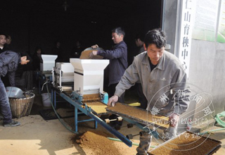 ������������æ