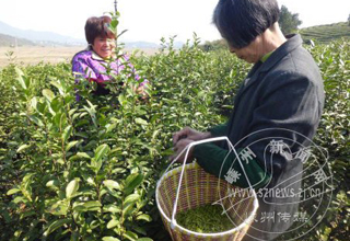 ��ժ���豣����