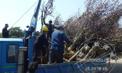 ��ɫ���ֳ����ֻ�