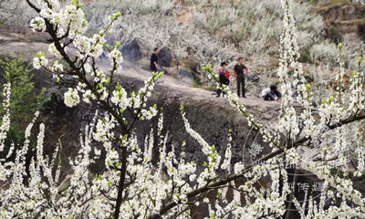 ������� ����̤����