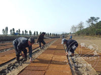 �絾����������