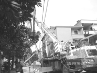 ������������ײ�����߸�