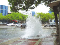 ����˨��ײ�� ·��һƬ����