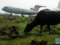 ����������ͣ�Ż�Ұ�����