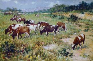 ��Ʒ��ţȺ��