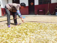 ũ����Ʈ�����