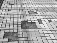 ���ݴ����������е� �벹��ȱ��