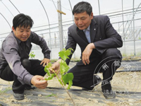 ���Ѵ�������ũҵ������