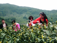 �����������ӡ���ɽ�ʲ衱