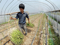 �ι�����׳������«��