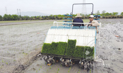 �����絾��Ʒ��