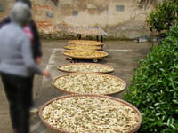 ɹɹ��� ��������������