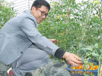 ���鷬�ѡ����ʡ�����