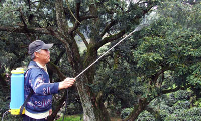 �˹��ڷ��������