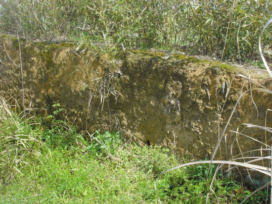 С��ɽ��ַ��ַ