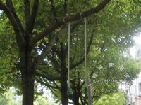 �������������������