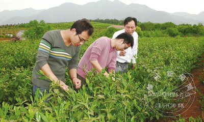 �й�ũ��Ժ����������ɽ�賡�������е�