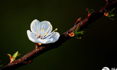 �紵÷���� ����ӻ���