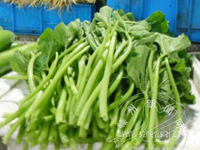 1���Ϲ�Ҷ�۸�5Ԫ �ɳ�1.2�Ｆ��