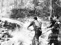 �ӷ����ֵ��پ�̿Ҥ