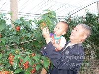 ����ӣ��Ʒ������ʱ