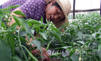 С����������������