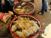 ���۵� �����ۡ���С��СѼ����