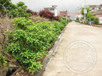 ��·��Ӫ����ɫ��԰