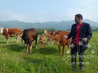 ����ţ�¸�