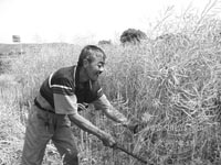 �Ͳ����� ũ����æ�ո��Ͳ�