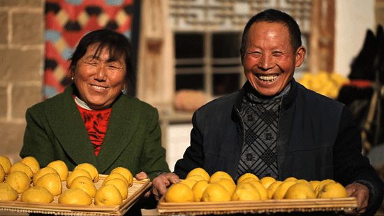 ������ϵ��й�������