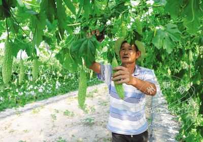 �����Ʒ��½������