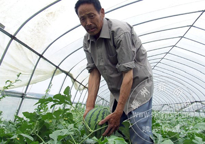 �������������� �۸���ÿ����6Ԫ����