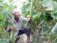 �����ѹ���ũ������