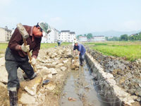 ������������ʳ����