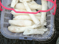 ���ӿ������׵Ķ��� ����С���ݥ��