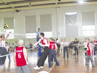 ���ݸɲ�������������Ļ