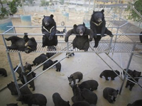 ��ҵ�֣�������ֻҪ�Ϸ��Ϳ�����