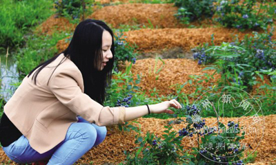 ������ݮ���� �۸�ȷʵ�����塱