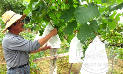 ���Ѵ����¡� �����ü�Ǯ