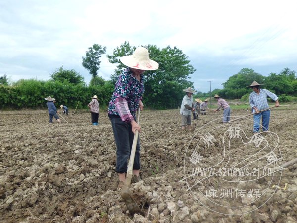 ũ�¡��ӵ㹤��������ͷ