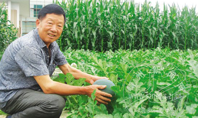 嵷�ƽ�������ݶ���԰��