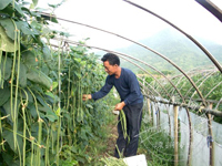 ���������� Ч�治һ��