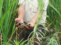 3000Ķ���׻����⸣�������� 