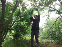 �Թ�����������  �������ճ�